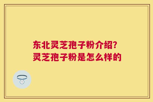 东北灵芝孢子粉介绍？灵芝孢子粉是怎么样的