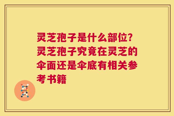 灵芝孢子是什么部位？灵芝孢子究竟在灵芝的伞面还是伞底有相关参考书籍
