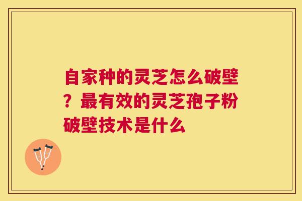 自家种的灵芝怎么破壁？有效的灵芝孢子粉破壁技术是什么