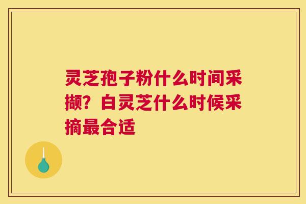 灵芝孢子粉什么时间采撷？白灵芝什么时候采摘合适