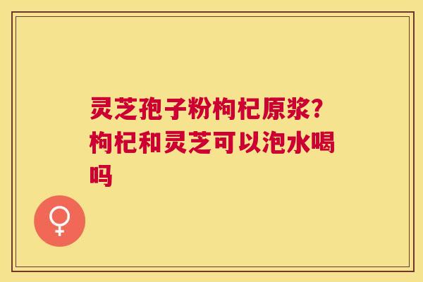 灵芝孢子粉枸杞原浆？枸杞和灵芝可以泡水喝吗