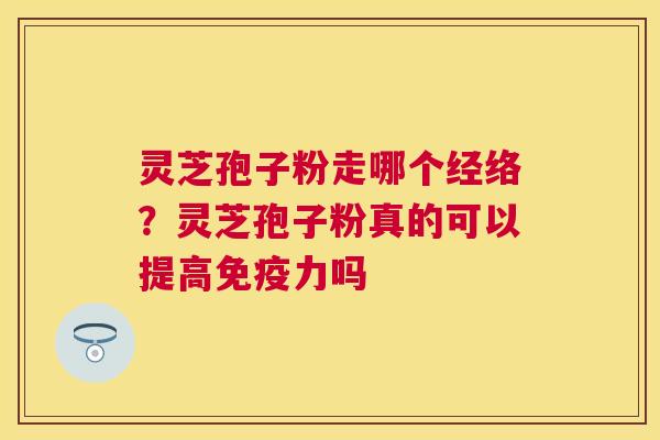 灵芝孢子粉走哪个经络？灵芝孢子粉真的可以提高免疫力吗