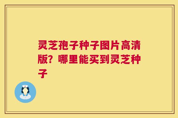 灵芝孢子种子图片高清版？哪里能买到灵芝种子