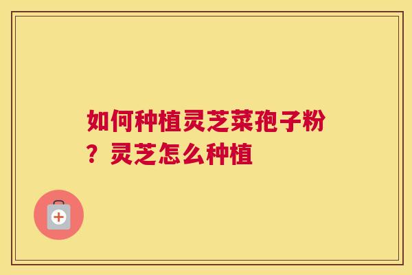 如何种植灵芝菜孢子粉？灵芝怎么种植