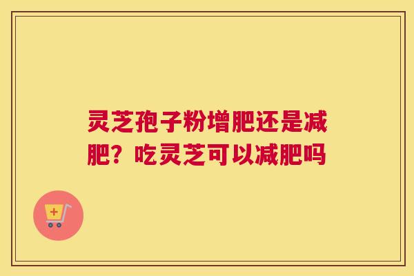 灵芝孢子粉增肥还是？吃灵芝可以吗