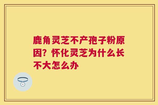 鹿角灵芝不产孢子粉原因？怀化灵芝为什么长不大怎么办