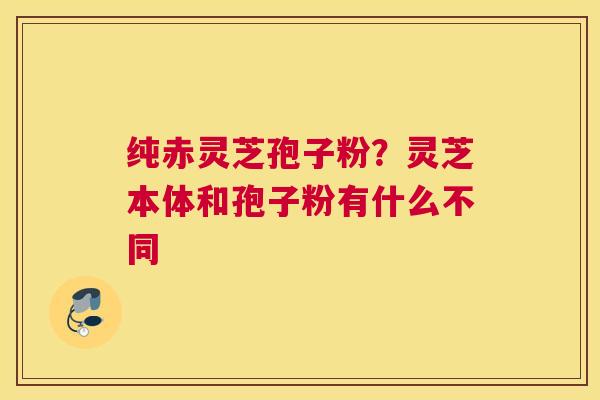 纯赤灵芝孢子粉？灵芝本体和孢子粉有什么不同