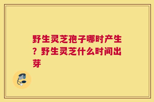 野生灵芝孢子哪时产生？野生灵芝什么时间出芽