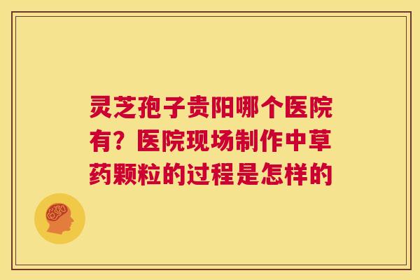 灵芝孢子贵阳哪个医院有？医院现场制作中草药颗粒的过程是怎样的