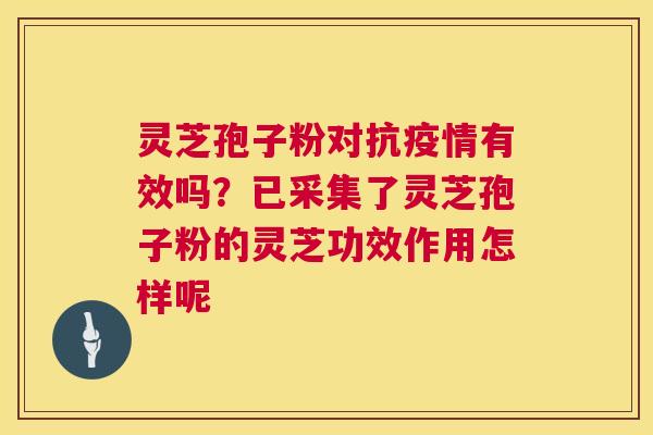 灵芝孢子粉对抗疫情有效吗？已采集了灵芝孢子粉的灵芝功效作用怎样呢