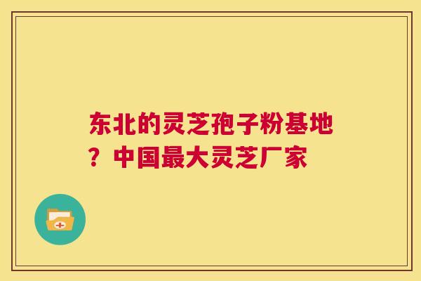东北的灵芝孢子粉基地？中国大灵芝厂家