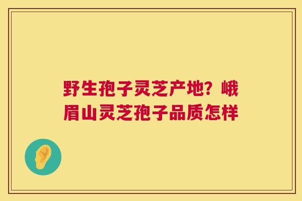 野生孢子灵芝产地？峨眉山灵芝孢子品质怎样