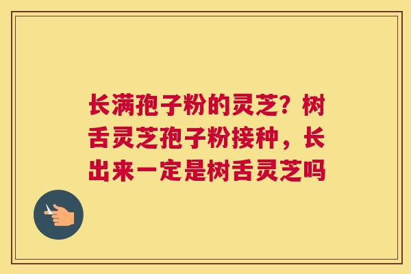 长满孢子粉的灵芝？树舌灵芝孢子粉接种，长出来一定是树舌灵芝吗