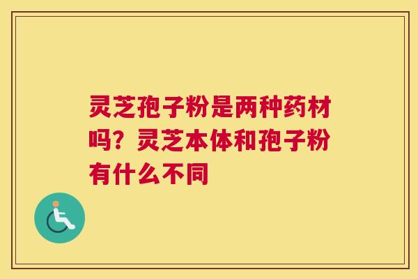 灵芝孢子粉是两种药材吗？灵芝本体和孢子粉有什么不同