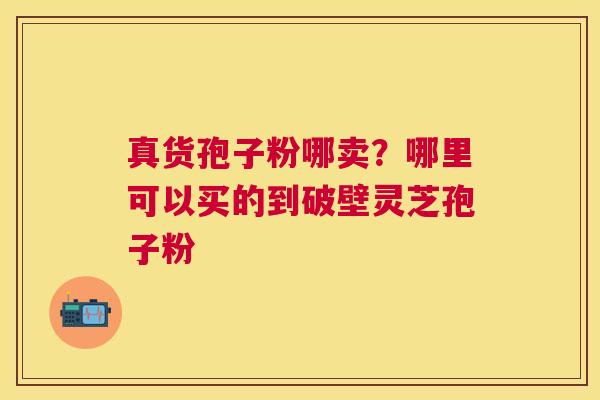 真货孢子粉哪卖？哪里可以买的到破壁灵芝孢子粉