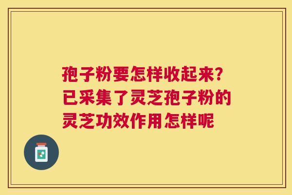 孢子粉要怎样收起来？已采集了灵芝孢子粉的灵芝功效作用怎样呢