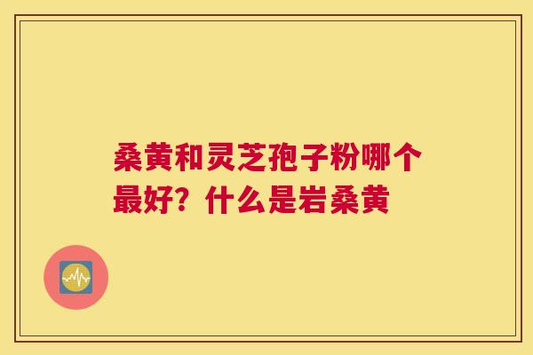 桑黄和灵芝孢子粉哪个好？什么是岩桑黄