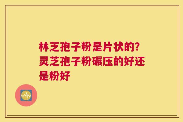 林芝孢子粉是片状的？灵芝孢子粉碾压的好还是粉好