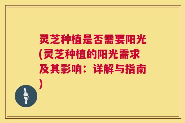 灵芝种植是否需要阳光(灵芝种植的阳光需求及其影响：详解与指南)
