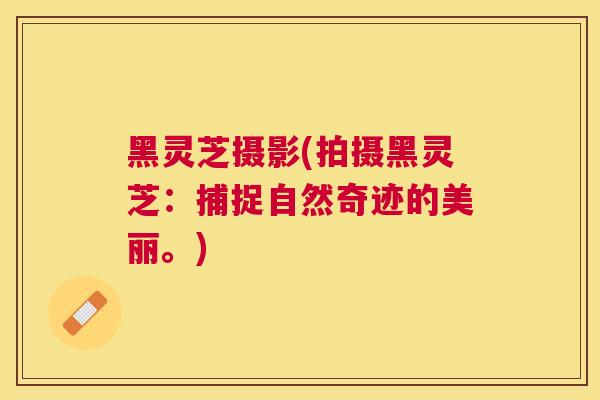 黑灵芝摄影(拍摄黑灵芝：捕捉自然奇迹的美丽。)