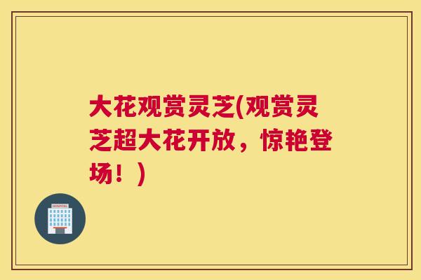 大花观赏灵芝(观赏灵芝超大花开放，惊艳登场！)