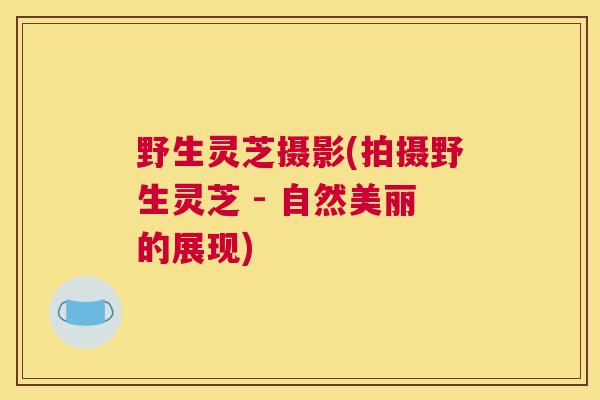 野生灵芝摄影(拍摄野生灵芝 - 自然美丽的展现)