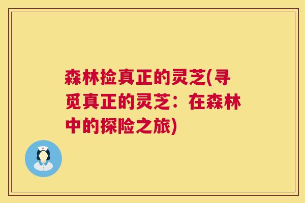 森林捡真正的灵芝(寻觅真正的灵芝：在森林中的探险之旅)