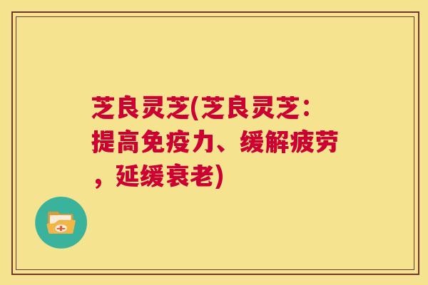 芝良灵芝(芝良灵芝：提高免疫力、缓解疲劳，延缓)