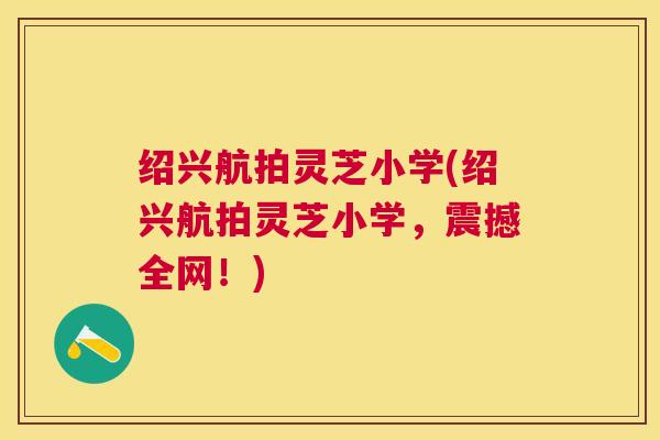 绍兴航拍灵芝小学(绍兴航拍灵芝小学，震撼全网！)