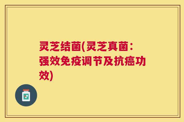 灵芝结菌(灵芝真菌：强效免疫调节及抗功效)