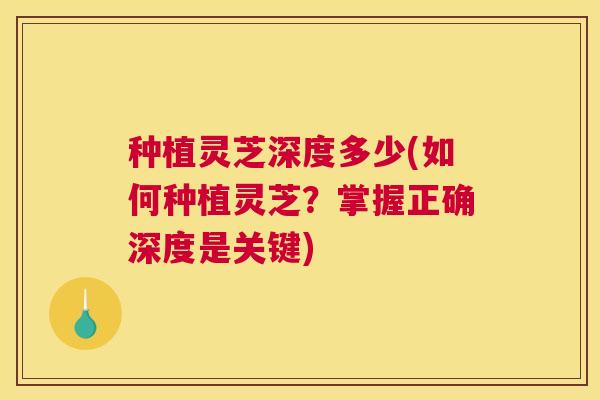 种植灵芝深度多少(如何种植灵芝？掌握正确深度是关键)