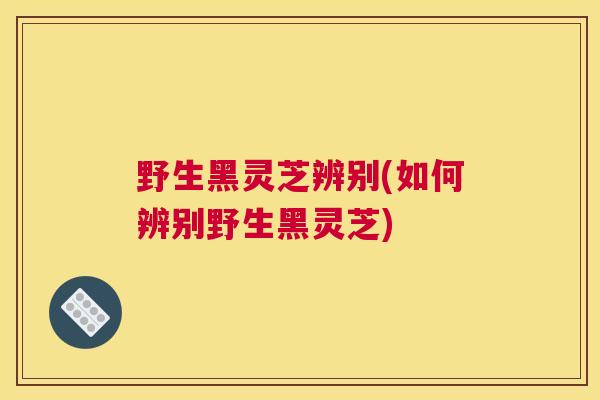 野生黑灵芝辨别(如何辨别野生黑灵芝)