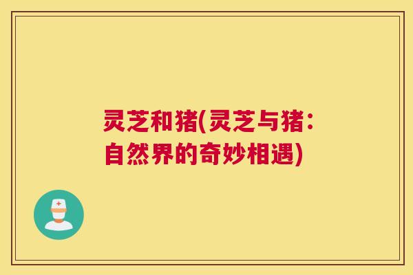灵芝和猪(灵芝与猪：自然界的奇妙相遇)