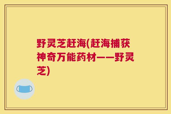 野灵芝赶海(赶海捕获神奇万能药材——野灵芝)