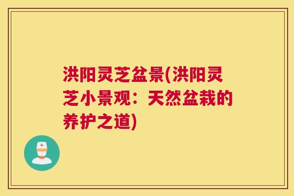 洪阳灵芝盆景(洪阳灵芝小景观：天然盆栽的养护之道)