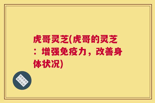 虎哥灵芝(虎哥的灵芝：增强免疫力，改善身体状况)
