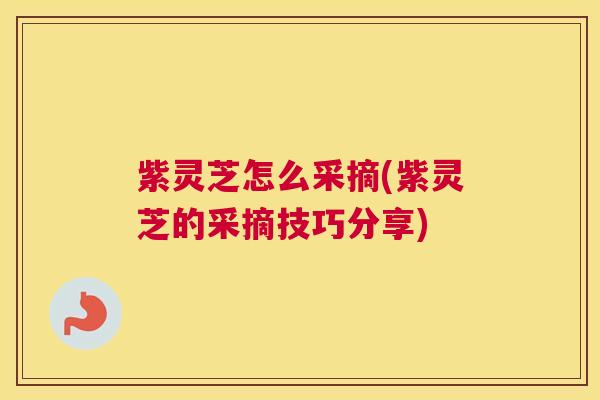 紫灵芝怎么采摘(紫灵芝的采摘技巧分享)