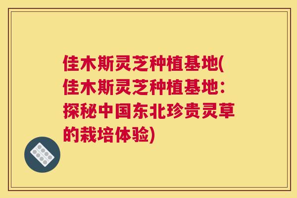 佳木斯灵芝种植基地(佳木斯灵芝种植基地：探秘中国东北珍贵灵草的栽培体验)