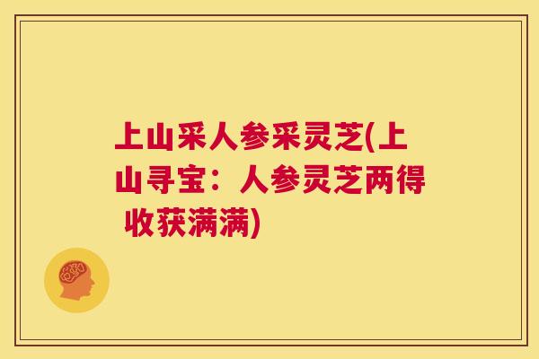 上山采人参采灵芝(上山寻宝：人参灵芝两得 收获满满)