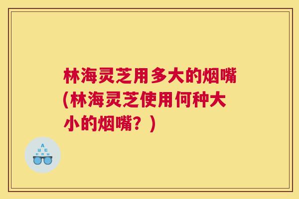 林海灵芝用多大的烟嘴(林海灵芝使用何种大小的烟嘴？)