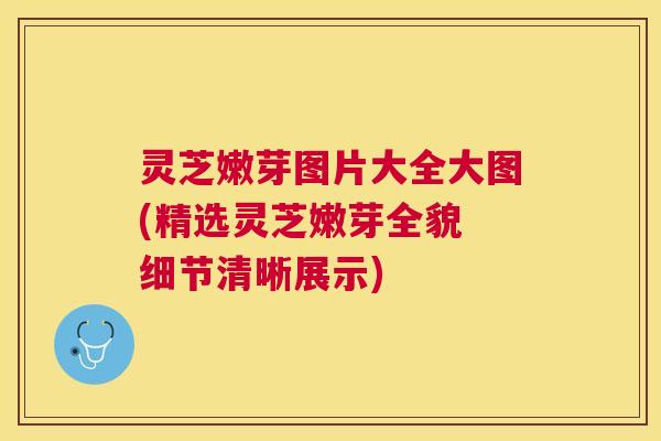 灵芝嫩芽图片大全大图(精选灵芝嫩芽全貌 细节清晰展示)