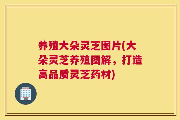 养殖大朵灵芝图片(大朵灵芝养殖图解，打造高品质灵芝药材)