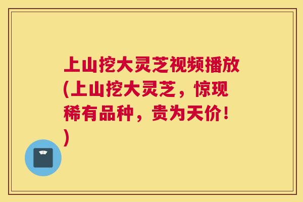 上山挖大灵芝视频播放(上山挖大灵芝，惊现稀有品种，贵为天价！)