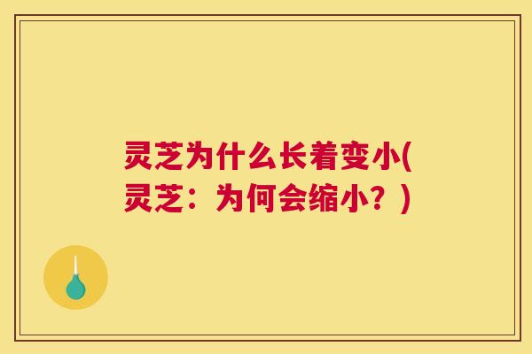 灵芝为什么长着变小(灵芝：为何会缩小？)
