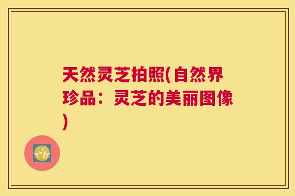 天然灵芝拍照(自然界珍品：灵芝的美丽图像)