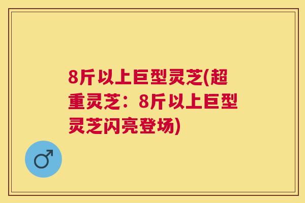 8斤以上巨型灵芝(超重灵芝：8斤以上巨型灵芝闪亮登场)