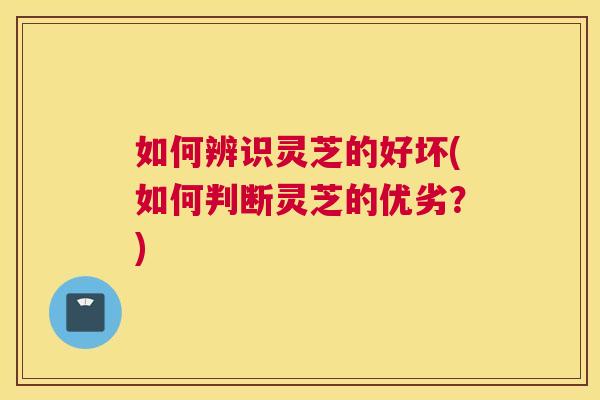 如何辨识灵芝的好坏(如何判断灵芝的优劣？)