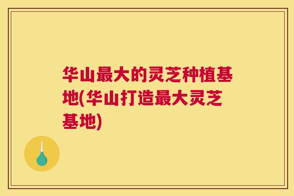 华山大的灵芝种植基地(华山打造大灵芝基地)