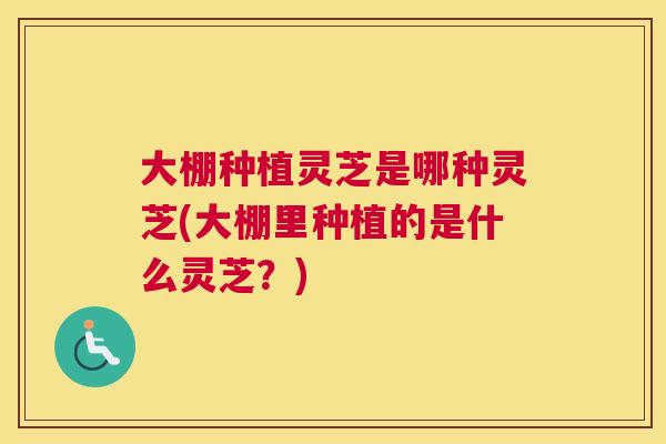 大棚种植灵芝是哪种灵芝(大棚里种植的是什么灵芝？)
