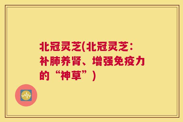 北冠灵芝(北冠灵芝：补养、增强免疫力的“神草”)